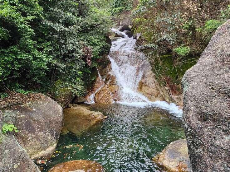 探秘花样馒头的做法大全？-39健康网